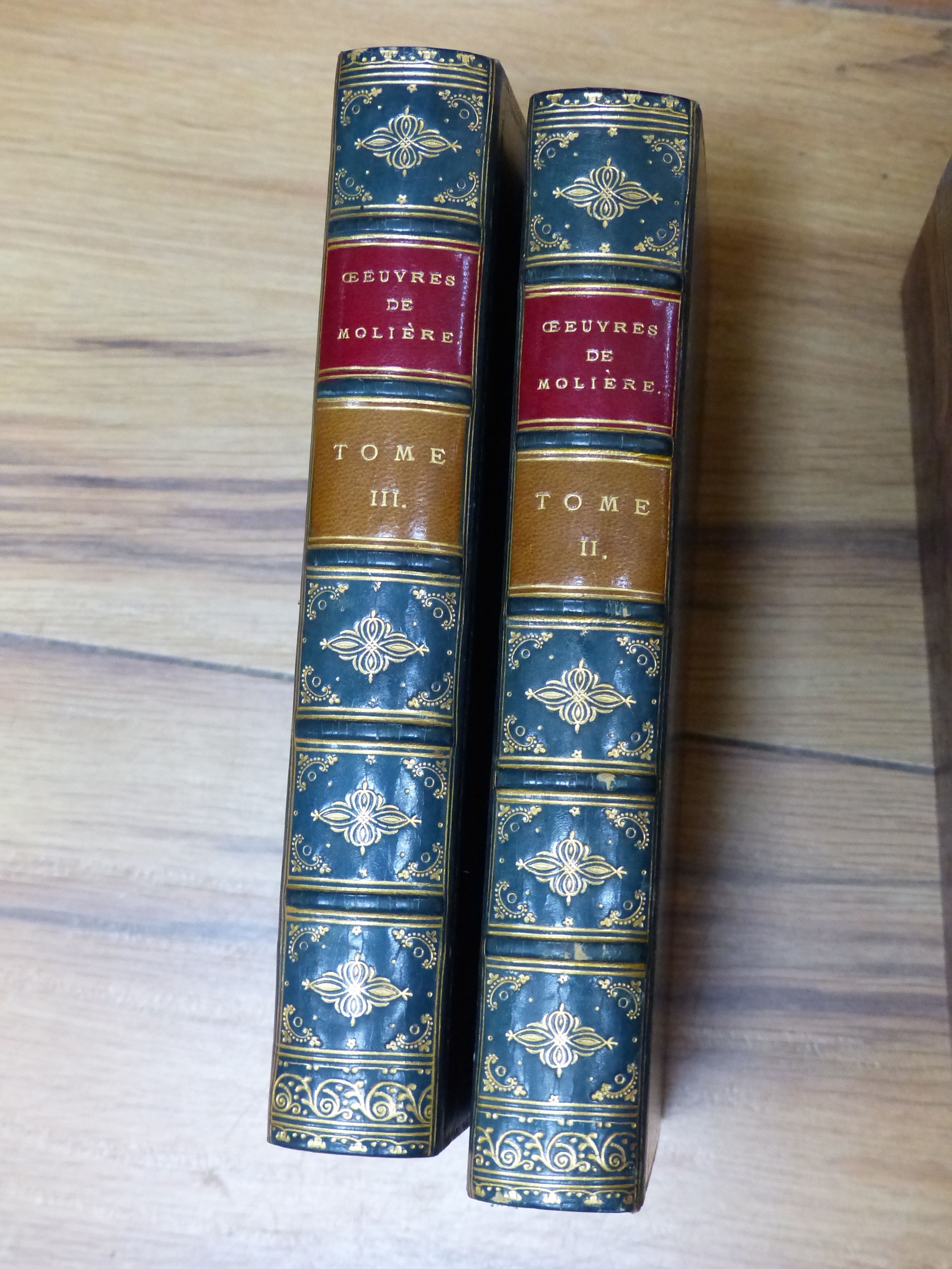 Bindings, etc., European Literature, including Schiller, Victor Hugo, Moliere and others